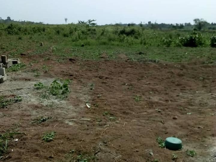 Terrain-a-bingerville-720x540